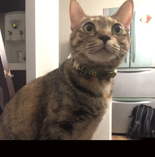 李慧