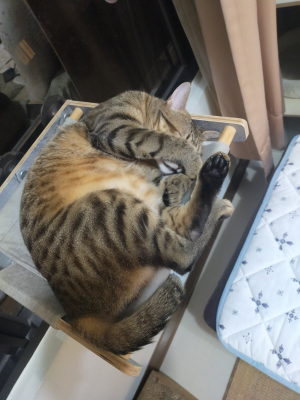 林祐賢
