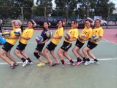 Team